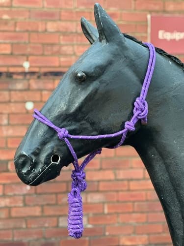 Hi-Viz Reflektierendes Seil Halfter mit Führstrick Se Voll Verstellbar (Pony, Lila)