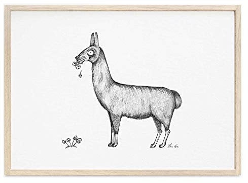 Ligarti Kunstdruck | hochwertiges Poster | Künstlerin Hanna Ligeti | (Lama, A2)