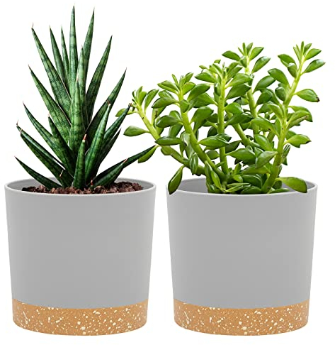 QCQHDU Lot de 2 Pots de Plantes 12.7cm, Pots pour Plantes d'intérieur avec Trous de Drainage et Base Amovible, Soucoupe décorative Moderne pour jardinières d'extérieur (Gris Clair 12.7cm)