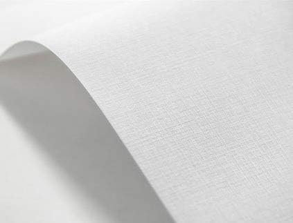 Netuno 20x carton gaufré blanc carreaux A4 210x297mm 185g Elfenbein carton embossé de bricolage papier texturé pour cartes d'invitation cartes de visite diplômes albums papier cartonné décoratif