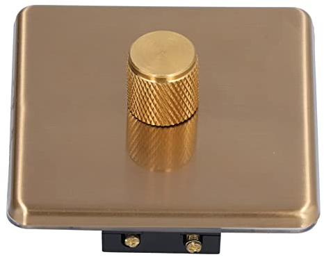 Funien Dimmerschalter, Goldener Edelstahl-Dimmer-Lichtschalter für den Heimgebrauch, AC220V (monotones Licht)