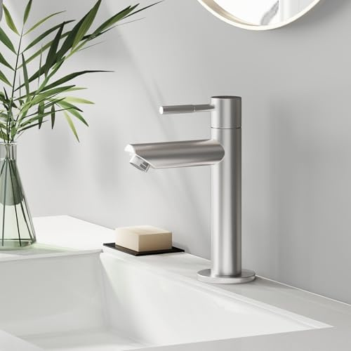Fransiton Kaltwasserhahn mit Ersatz-Bubbler，Armatur Badezimmermit Auslauf Höhe 90 mm，Kaltwasserarmatur Gäste WC für Badezimmer und öffentliche Bereiche