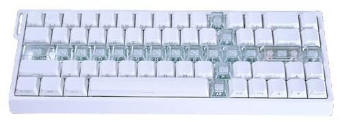 Wiffe Orignal Profile Computer Tastatur Ersatz Tastenkappen, 19-teilig, mit durchscheinendem, einzigartigem Design Mechanische Tastenkappen