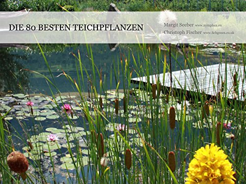 Die 80 besten Teichpflanzen (Naturteiche im Garten)