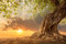 PAPERMOON BILD TAPETE, Alter Baum im Sonnenuntergang,VLIES Fototapete, Digitaldruck, ink. KLEISTER, verschiedene Größen, Braun