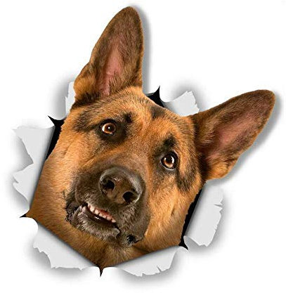 10cm! Klebe-Folie Wetterfest Made-IN-Germany süß German Shepherd Deutscher Schäferhund Hund D773 UV&Waschanlagenfest Auto-Aufkleber Profi-Qualität!