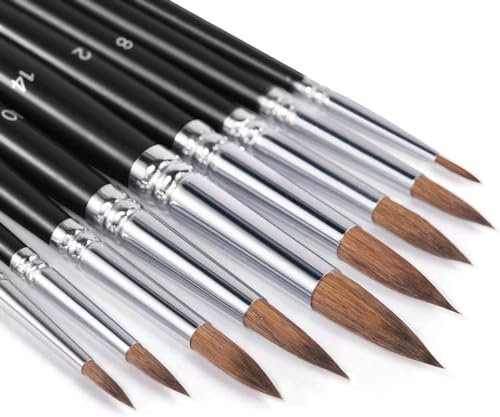 Sable Watercolour Brushes 9pcs, Fuumuui Detail to Mop Kolinsky Sable Brushes Round Pointed Professional Watercolour Brushes Perfect for Watercolour Gouache Acrylic Ink Painting Black