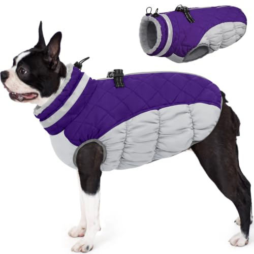 AOFITEE Hundejacke Kleine Hunde, Wasserdicht Hunde Wintermantel Warm Hundemantel mit Geschirr, Rollkragen Hunde Winterjacke Fleece Reflektierende Hundejacke Outdoor Hundebekleidung,S Violett