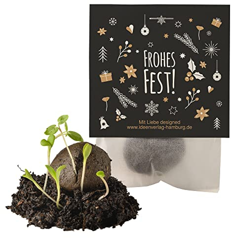 10x Frohes Fest Winter Samenbomben Weihnachten/treiben aus bei Kälte/kleine Geschenke Kollegen/Saatbomben Geschenk/Gäste Geschenke/Gastgeschenk Kinder/Dankeschön Geschenke Kollegen
