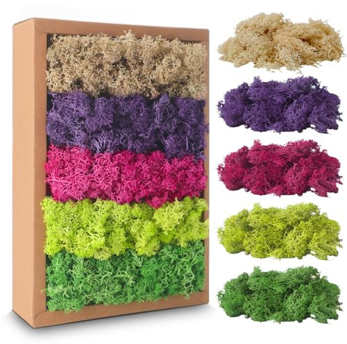 Islandmoos, Moos in 5 versch 200g für Moosbilder, Konserviertes Moos, Moos zum Basteln, Moos Deko, Künstliches Moos, Moos Konserviert, Deko Moos, Bastelmoos, Kunstmoos für Basteln (A)