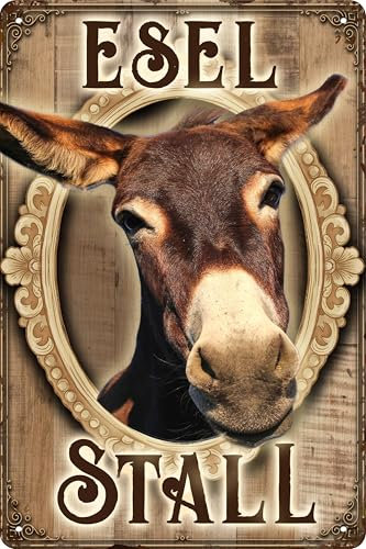 Wetterfestes Tür und Torschild für Esel Fans – lustiger Spruch – Esel Stall (30 x 20 cm)