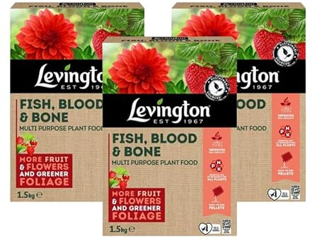 Levington Fish Blood & Bones All Purpose Plant Food Granules For Fruit Veg & Flowers 3 x 1.5kg Boxes