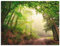ARTland Wanddeko Wandbild Alu Verbundplatte für Innen & Outdoor Bild Landschaften Wald Foto Grün Natürliche Torbögen durch Bäume B6UU