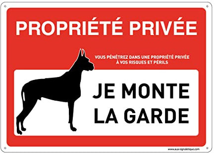 AUA SIGNALETIQUE - Panneau Prépercé (4 Trous) avec Angles arrondis - PVC Rigide 1.5 mm - (210 x 150 mm, Propriété Privée Je Monte la Garde)