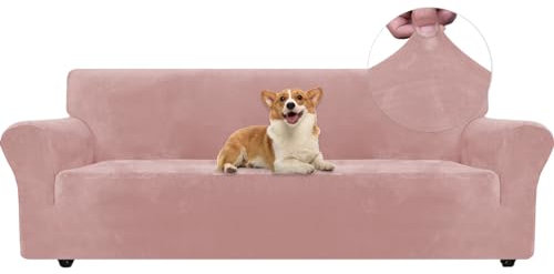 Ystyle Copridivano Velluto, Copri Divano 4 Posti Con Braccioli, Copripoltrona Elasticizzati Antigraffio Gatto, Universale Moderno Sofa Cover Antiscivolo, Lavabile In Lavatrice Rosa