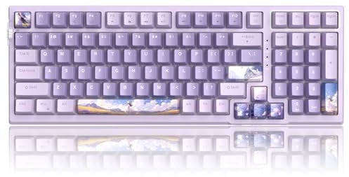 MageGee SKY98 Wireless Gasket Mechanical Gaming Keyboard, 96% Hot Swappable RGB Custom Creamy Keyboard with 5-Layer Sound Padding, BT/2.4G/USB-C, NKRO for Win/Mac (Lavender, Violet Switch)