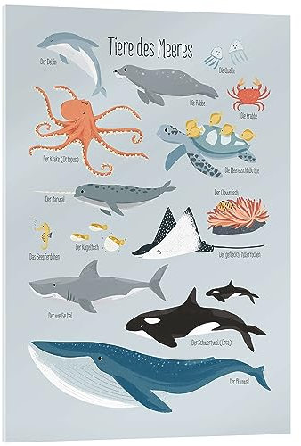 Posterlounge Tiere des Meeres Acrylglasbild von Sandy Lohß 13 x 18 cm Blau Wandbilder Wanddeko