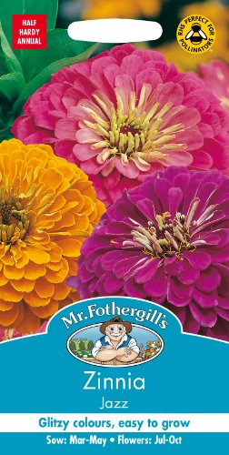 Mr Fothergill's Zinnia Jazz