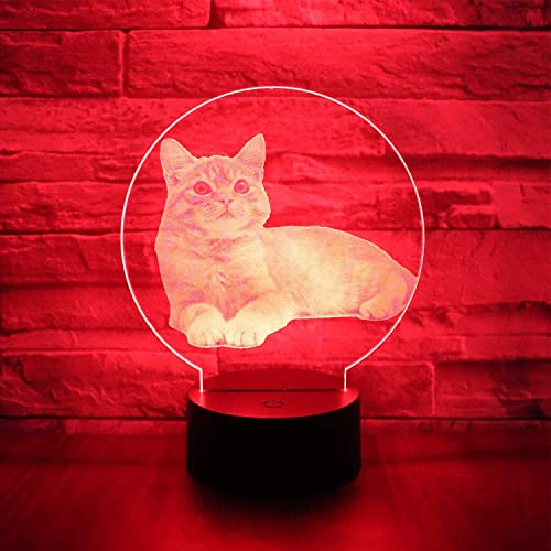 Jinson well 3D katze led licht Lampe optische Illusion Nachtlicht, 7 Farbwechsel Touch Switch Tisch Schreibtisch Dekoration Lampen Flat Base USB Spielzeug