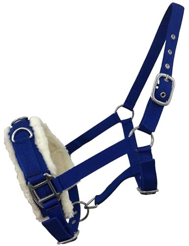 Horse Master Padded Horse Headcollar Halter - Flexible Adjustable Lunging Cavesson with Comfortable Fleece Lining and Buckle Closure - Elegant Stable Yard Accessories and Equipment Headcollar Pony