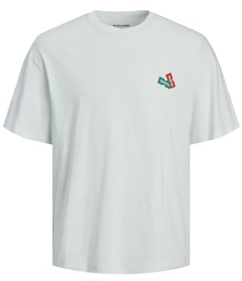 JACK & JONES Herren Jordecal Tee Ss Crew Neck Tg Ln T-Shirt, Skylight, XXL