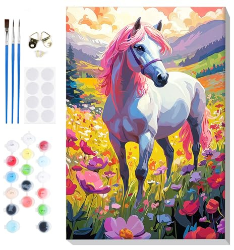 Lxmsja Peinture Numero Cheval Adulte avec Cadre, Peinture par Numero Animaux, Peinture Acrylique Numéro d'art avec Pinceaux, Loisirs Créatifs Adultes, Activité Manuelle Adulte, 20x30cm
