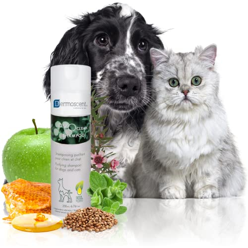 Antibakterielles Hundeshampoo gegen Hautinfektionen & Juckreiz | Mit Propolis, Honig & ätherischen Ölen | Feuchtigkeitsspendend für Hunde & Katzen | PYOClean Shampoo von Dermoscent