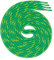 Swissly runde grün gelbe Schnürsenkel für Arbeitsschuhe und Trekkingschuhe aus 100% Polyester, Farbe: grün gelb, Länge: 210cm