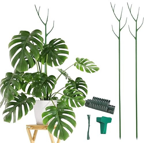 3 Stück Zweig Pflanzenstütze Ausziehbarer Pflanzstab Rankhilfe Kunststoff Pflanzenstäbe für Garten Kletterpflanzen Monstera Philodendron Creepers Sträucher Rosen oder
