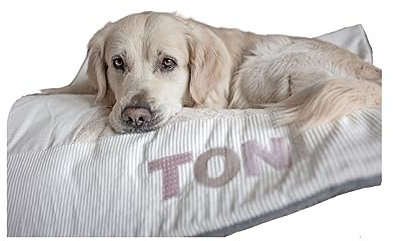 Hundedecke mit Namen aus Cord creme