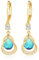 Gold Ohrringe Geburtsstein hängend ohrringe 14K gold hängend gold ohrringe Feine Schmuckstücke Geburtstagsgeschenke für Frauen(Gold Dezember)
