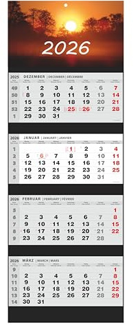 JAROGRAF Combi Calendario de 4 meses 2026, calendario de oficina, calendario grande de pared (este)