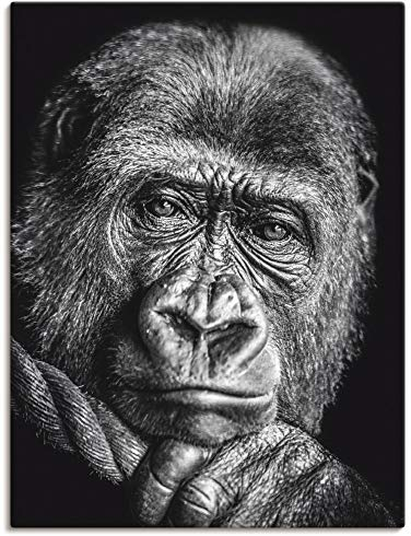 ARTLAND Wanddeko Leinwand Bilder Wandbild Gorilla Porträt Tiere Affe Asien Schwarz Weiß Modern Kunst Q7MN