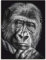 ARTland Wanddeko Leinwand Bilder Wandbild 30x40 cm Gorilla Porträt Tiere Affe Asien Schwarz Weiß Modern Kunst Q7MN
