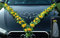 VIP Girlande 64 hochwertige Rosen 16 extrastarken Saugnäpfen 2 x 180 cm Girlande 4 Türgriffdekorationen 2 Rattanherzen Braut Paar Autoschmuck Hochzeit Car Auto Wedding PKW ®Auto-schmuck (Gelb)