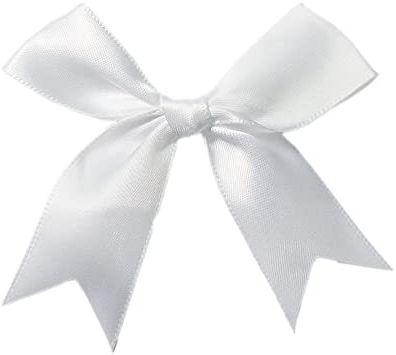 100 Stk 8.5x8.5cm Satinband Schleifen,Satin Band Deko Schleifen Fertigschleife Geschenkschleifen für DIY Handwerk Hochzeit Weihnachten Valentinstag Deko Karte Herstellung von Verzierungen,Weiß