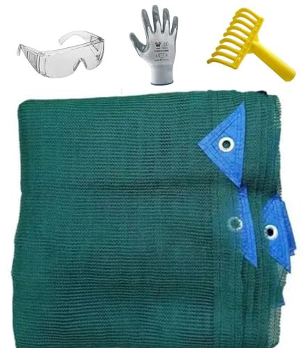 Rete Telo Raccolta Olive PINTO FERRAMENTA Telone Pesante 90 gr/mq con Occhielli e Bordi Rinforzati in Omaggio Occhiali Guanti e Rastrello per Raccolta Noci Mandorle Pistacchi Frutta Secca (8x12)