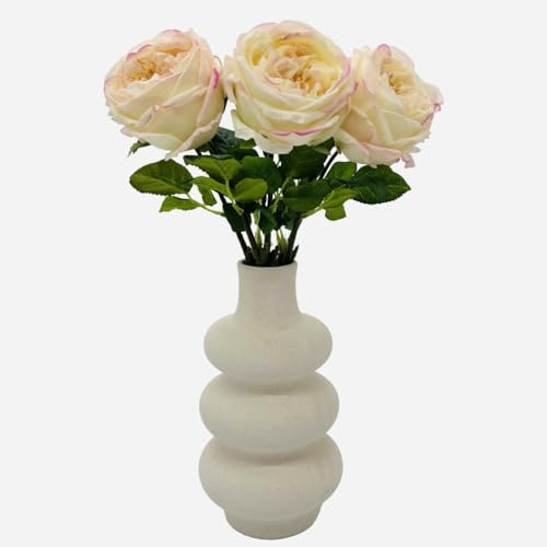 Keramik Vase für Pampasgras,Doughnut Spirale Blumenvase Runde Vase,Moderne dekorative Keramikvase für Trockenblumen