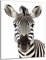 DARO Design - Wand-Bild 6mm HDF 40x30 cm Zebra frontal - Wand-Deko Bilder Wohnzimmer