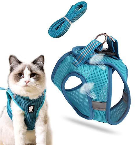Katzenleine Mit Geschirr Für Katzen, Hundegeschirr, Cat Harness and Leash, Katzengeschirr Kleine Katze, Outdoor Walking