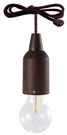 Eeneme Bombilla LED portátil en una cuerda de tracción, bombilla LED con cordón, funciona con pilas, decoración interior y exterior