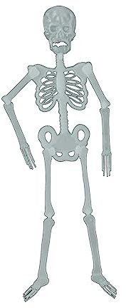 Halloween Kostüm Damen Hexenkostüm Teufel Y20K Im Dunkeln leuchtendes , Halloween-Requisiten, Bar- und Hausdekorationen, fluoreszierendes , lustige Halloween-Dekorationen Pokal Bestes (B, One Size)