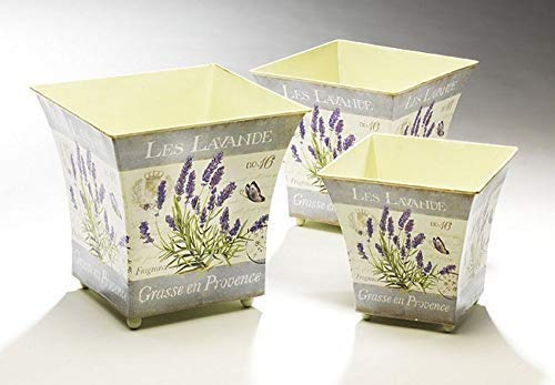 linoows Pflanztopf Set, Lavendel Töpfe Set, DREI Retro Pflanzschalen mit Lavendel Motiv