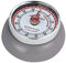 Zassenhaus Speed Minuteur de Cuisine Gris Froid Taille Unique
