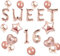 JeVenis Rose Gold Sweet 16 Luftballons Sweet 16 Banner Luftballons Sweet Sixteen Dekoration 16. Geburtstag