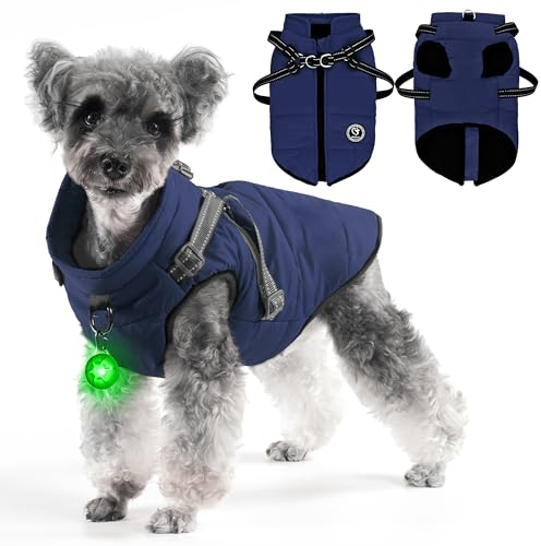 HezzLuv Cappotti Per Cani Impermeabili Con Imbracatura, Giacca Invernale Calda Per Cucciolo, Abbigliamento Per Cani Di Piccola Taglia, Con Fodera In Pile, Anello A D E Cerniera, Blu, Taglia M