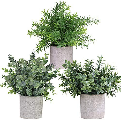 Winlyn Mini Potted Plants Artificial Eucalyptus Boxwood Rosemary Greenery in Pots Faux Potted Herbs Small Houseplants 8.3-9 Tall for Indoor Greenery Tabletop Décor Centerpiece 3 Pack