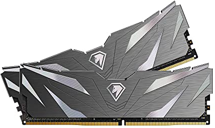 Netac Shadow RAM DDR4 16Go (2×8Go) 3200MHz Cl16 XMP 2.0 Haute Performance pour PC de Bureau (Noir)