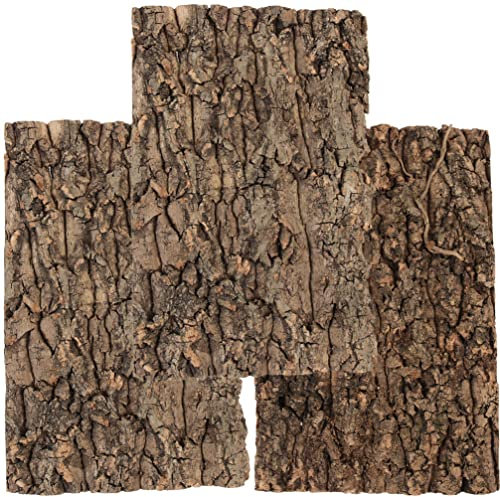 Totority Cork Terrarium Background, 3Pcs Cork Tile Background Decorative Tree Bark Adornment Reptile Climbing Plaything for Gecko Lizard Tortoise Frog