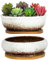 ARTKETTY Pots de Fleurs en céramique avec Plateau de Drainage en Bambou, 1 Pot de Fleurs rectangulaire + 1 Pot de Fleurs Rond pour intérieur (Blanc)